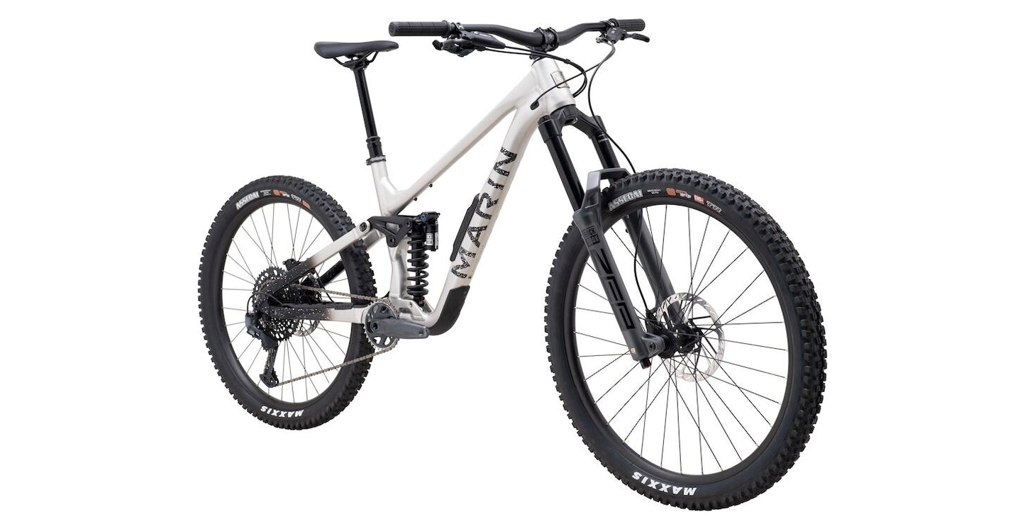Marin Alpine Trail XR 29 - Silver-Black - 2025