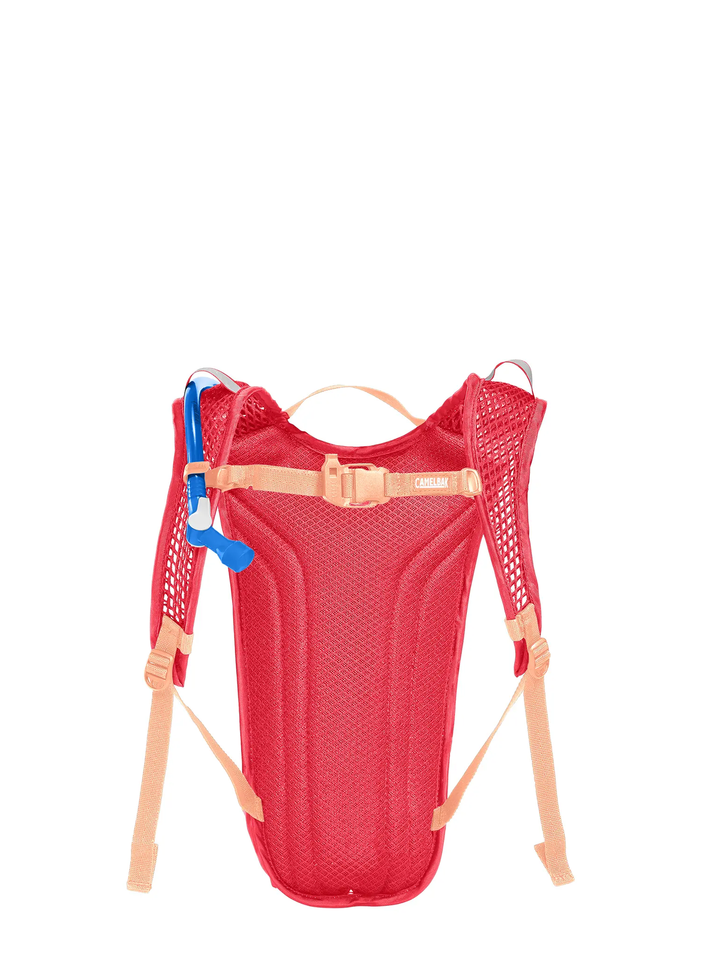 Camelbak Mini M.U.L.E. Hydration Pack - 50oz - Pink-Flowers