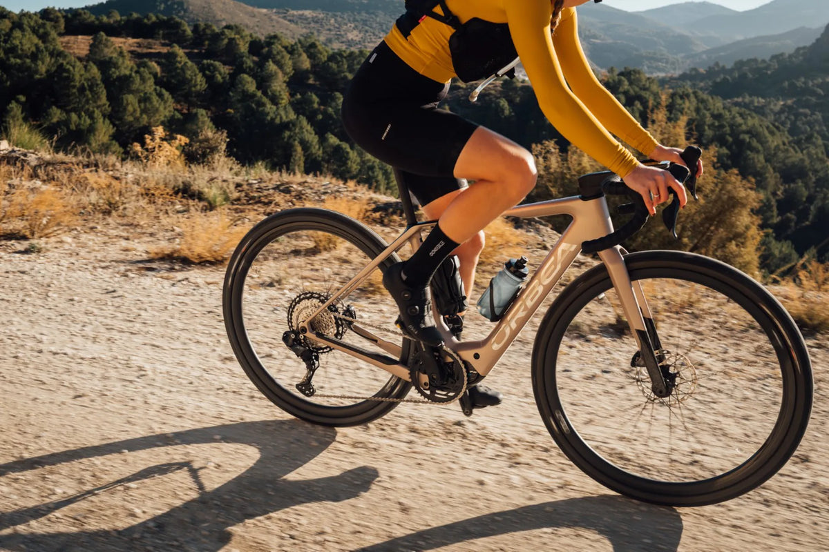 Orbea Denna M31e 700c 28mph - Nickel Matt-Carbon Raw Gloss - 2025