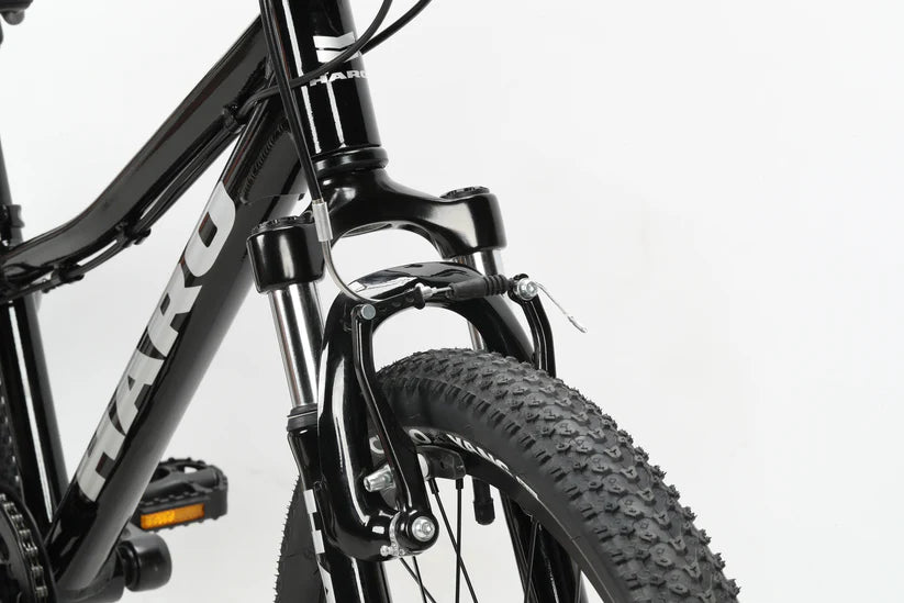 Haro Flightline 20" Kids Bike - Gloss Black