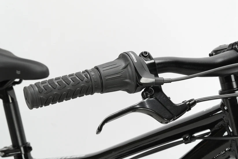 Haro Flightline 20" Kids Bike - Gloss Black
