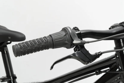 Haro Flightline 20" Kids Bike - Gloss Black