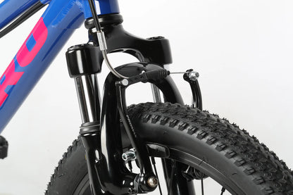Haro Flightline 20" Kids Bike - Ink Blue
