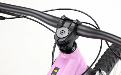 Haro Saguaro 2 29" - Matte Mauve