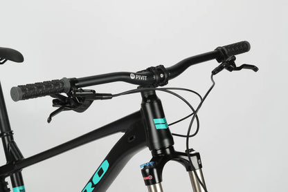 Haro Double Peak 2 29" - Matte Black-Teal