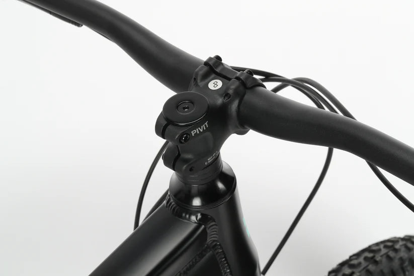 Haro Double Peak 3 29" - Matte Black-Teal