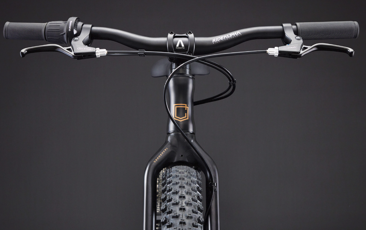 Commencal Ramones 20 Kids Bike - Black