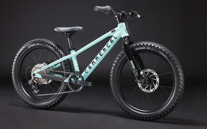 Commencal Ramones 20 Kids Bike - Green