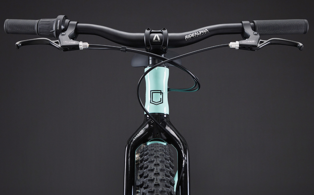 Commencal Ramones 20 Kids Bike - Green