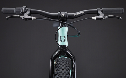 Commencal Ramones 20 Kids Bike - Green