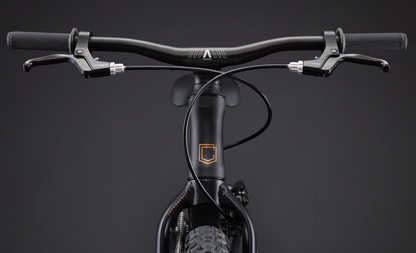 Commencal Ramones 16 Kids Bike - Black