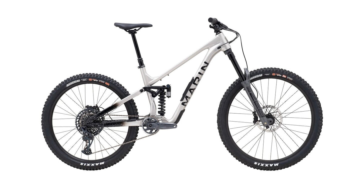 Marin Alpine Trail XR 29 - Silver-Black - 2025