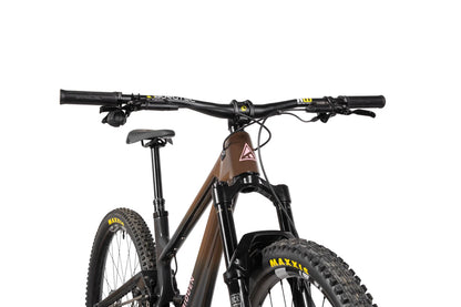Forbidden Druid 2 MX - Chocolate Starfish