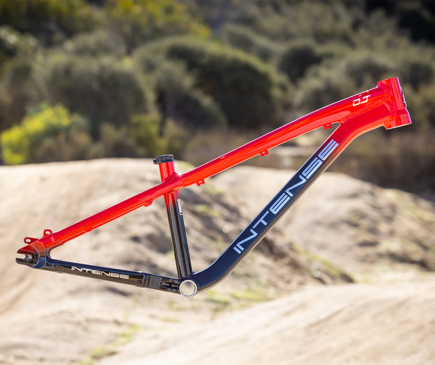 Intense DJ 26 Frame - Gloss Red to Black Fade - 2026