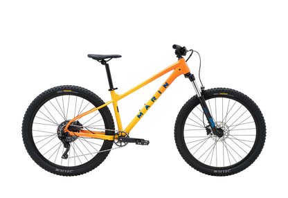 Marin San Quentin 1 29 - Yellow Fade - 2025
