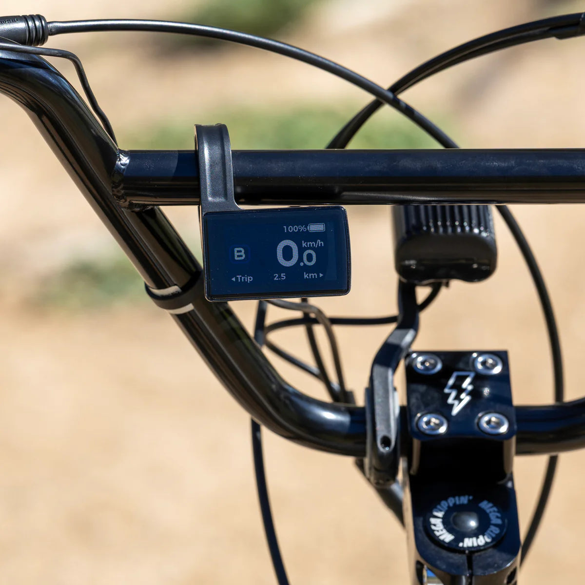 SE Bikes Mega Ripper 29 - Ball Burnished Silver