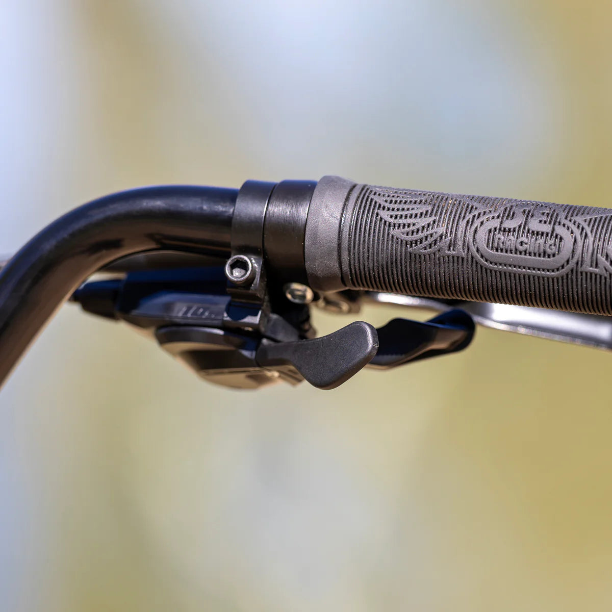 SE Bikes Mega Ripper 29 - Ball Burnished Silver