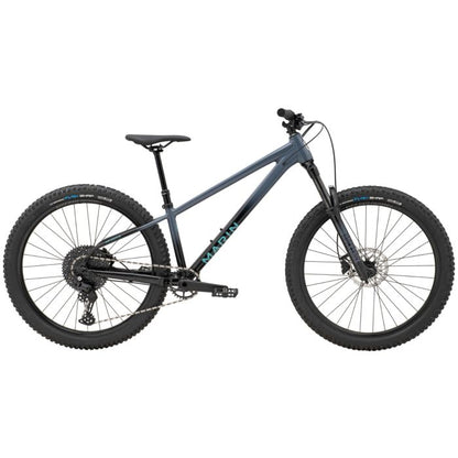 Marin San Quentin 2 29 - Blue Fade - 2025
