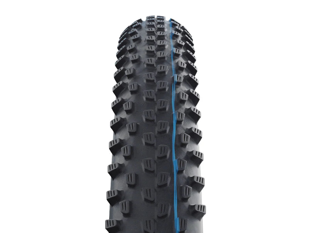 Schwalbe Racing Ray Evolution 29" Folding MTB Tire - Super Ground - TLE