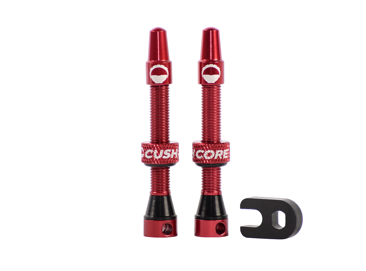 CushCore Air Valve Set