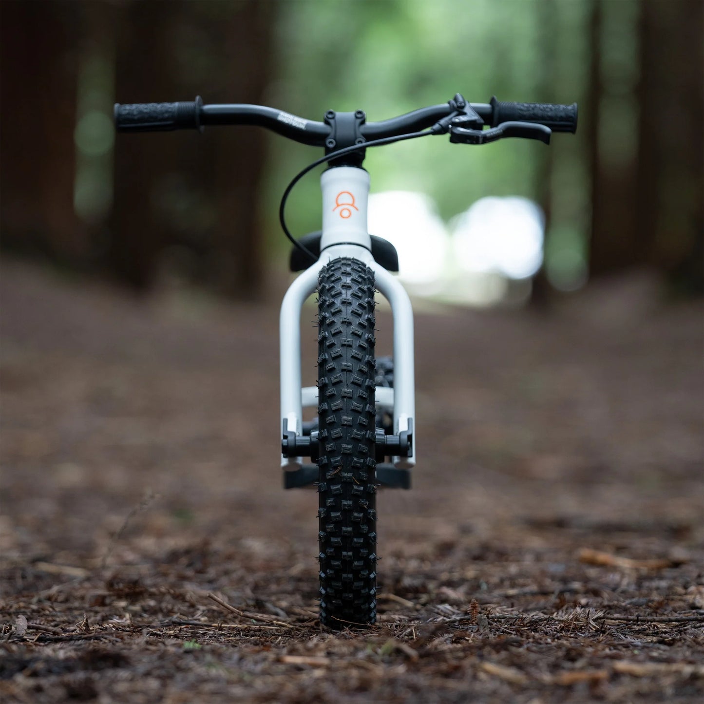 Shotgun Dirt Hero 12" Push Bike with Disc Brake - White