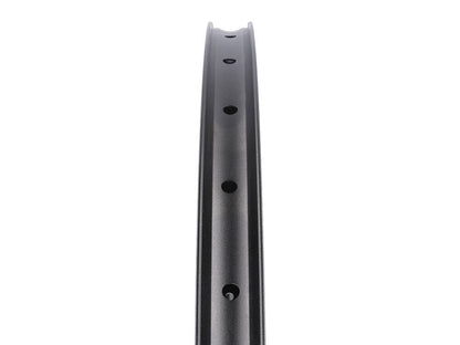DT Swiss FR 541 29" MTB Rim