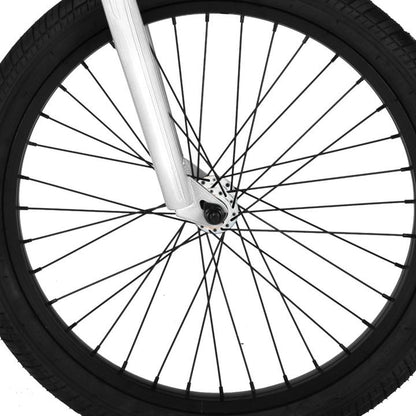 Eastern Lowdown 20" BMX - White